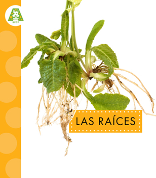 Las raíces (Partes de las plantas) (Spanish Edition)