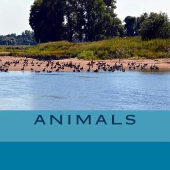 Paperback Animals 1 Book