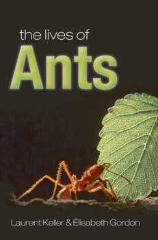 Paperback The Lives of Ants Book