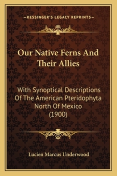 Paperback Our Native Ferns And Their Allies: With Synoptical Descriptions Of The American Pteridophyta North Of Mexico (1900) Book