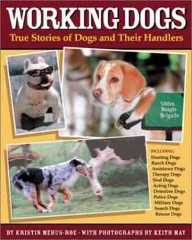 Paperback Working Dogs: True Stories of Dogs and Their Handlers Book