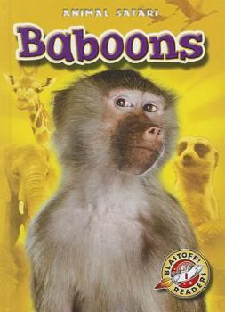 Baboons - Book  of the Animal Safari