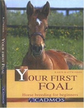 Hardcover Your First Foal: Horse Breeding for Beginners Book