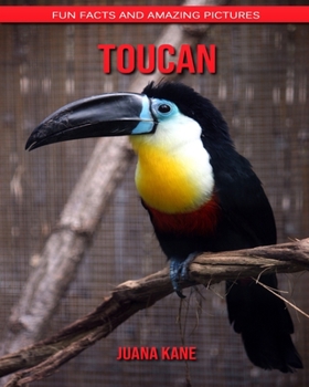 Toucan: Fun Facts and Amazing Pictures