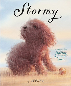 Hardcover Stormy: A Story about Finding a Forever Home Book