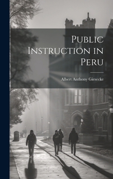 Hardcover Public Instruction in Peru Book