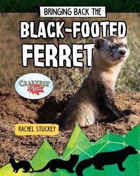 Paperback Bringing Back the Black-Footed Ferret Book