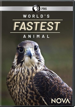DVD Nova: The World's Fastest Animal Book