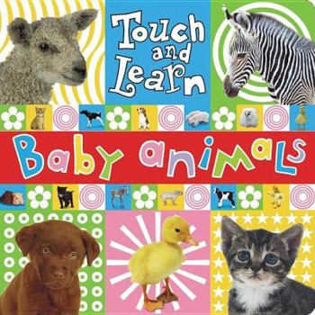 Board book Touch and Learn Baby Animal Book