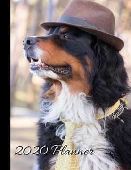 2020 Planner: Bernese Mountain Dog Cover - 2020 Monthly Planner Organizer Undated Calendar And ToDo List Tracker Notebook