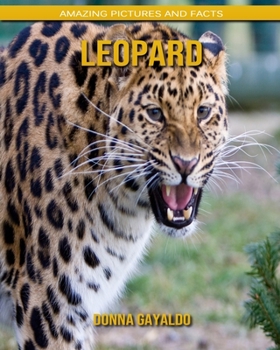 Leopard: Amazing Pictures and Facts