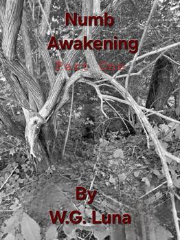 Hardcover Numb Awakening Part One Book