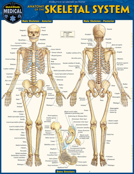Skeletal System: Advanced
