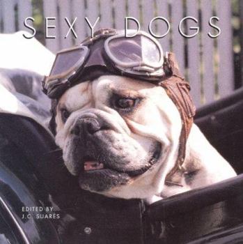 Hardcover Sexy Dogs Book