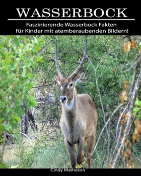 Wasserbock: Faszinierende Wasserbock Fakten f�r Kinder mit atemberaubenden Bildern!