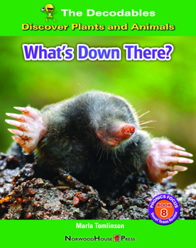 Hardcover What's Down There? Book