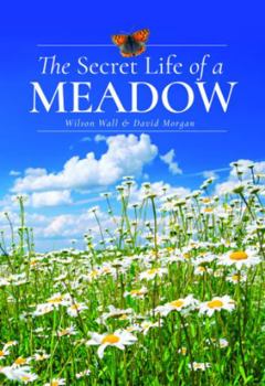 Hardcover The Secret Life of a Meadow Book