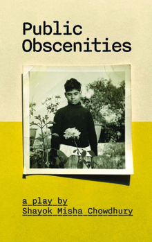 Paperback Public Obscenities Book