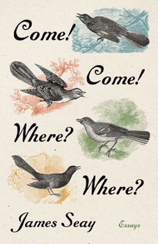 Paperback Come! Come! Where? Where?: Essays Book