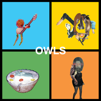 Vinyl Owls Book