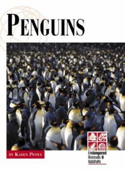 Hardcover Overview Series Endngrd Anmls & Habitats: Penguins Book