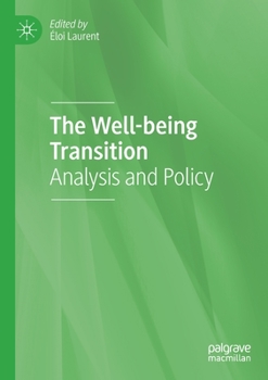 Paperback The Well-Being Transition: Analysis and Policy Book