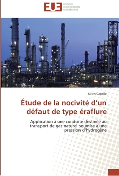 Paperback Étude de la nocivité d un défaut de type éraflure [French] Book
