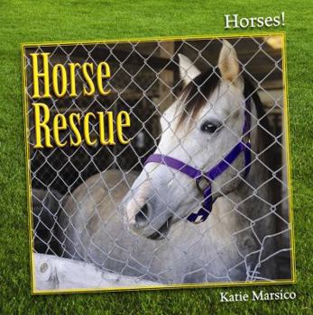 Paperback Horse Rescue Book