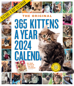 Calendar 365 Kittens-A-Year Picture-A-Day Wall Calendar 2024: Absolutely Spilling Over with Kittens Book