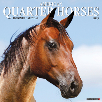 Calendar American Quarter Horses 2023 Wall Calendar Book