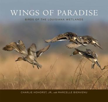 Wings of Paradise: Birds of the Louisiana Wetlands
