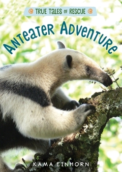Hardcover Anteater Adventure Book