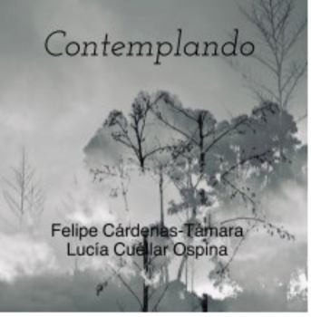 Hardcover Contemplando Book