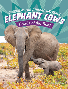 Hardcover Elephant Cows: Heads of the Herd Book
