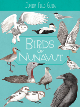 Paperback Junior Field Guide: Birds of Nunavut: English Edition Book