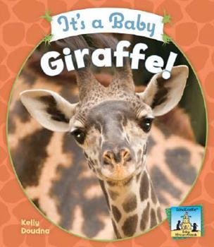It's a Baby Giraffe! - Book  of the Baby Mammals