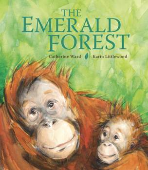 Hardcover The Emerald Forest Book
