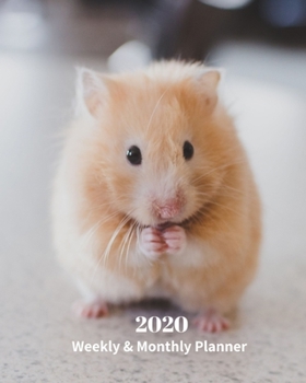 Paperback 2020 Weekly and Monthly Planner: Cute Hamster - Monthly Calendar with U.S./UK/ Canadian/Christian/Jewish/Muslim Holidays- Calendar in Review/Notes 8 x Book