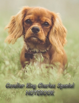 Cavalier King Charles Spaniel NOTEBOOK: Notebooks and Journals 110 pages (8.5"x11")