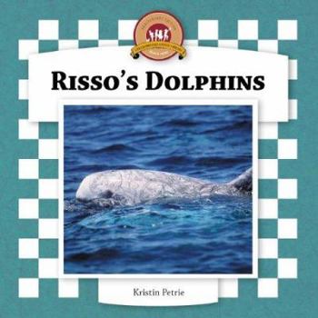 Library Binding Risso's Dolphins Book