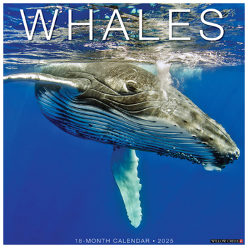 Calendar Whales 2025 12 X 12 Wall Calendar Book