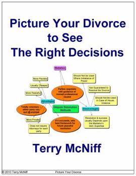 Paperback Picture Your Divorce to See the Right Decisions Book