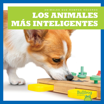 Library Binding Los Animales Más Inteligentes (Smartest Animals) [Spanish] Book