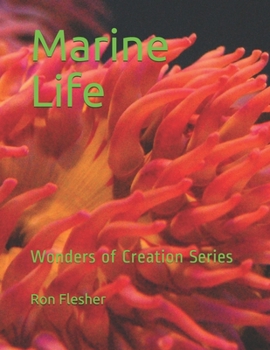 Paperback Marine Life: Wonders of Creation Series Book