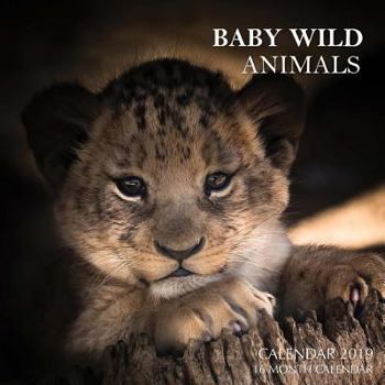 Baby Wild Animals Calendar 2019: 16 Month Calendar