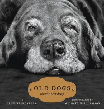 Hardcover Old Dogs: Are the Best Dogs Book