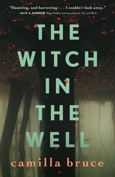 Hardcover The Witch in the Well Book