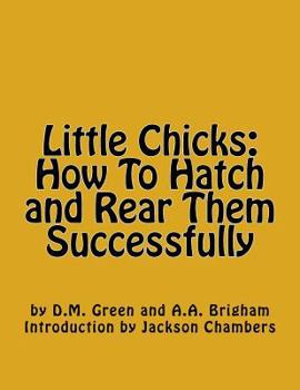 Paperback Little Chicks: How To Hatch and Rear Them Successfully Book