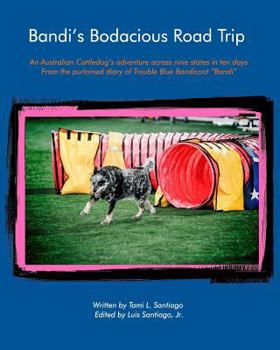 Paperback Bandi's Bodacious Road Trip: An Australian Cattledog's adventure across nine states in ten days Book