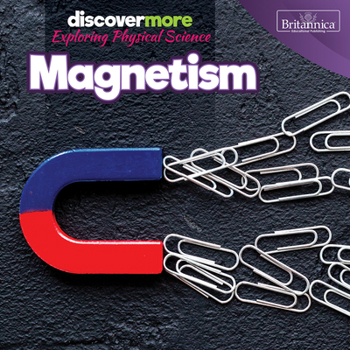 Paperback Magnetism Book